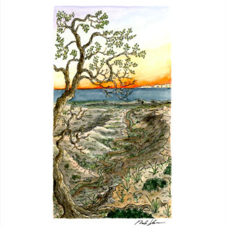“Desert Coastline” Print
