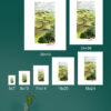 “Rolling Seaside Ramble” Print - Image 5