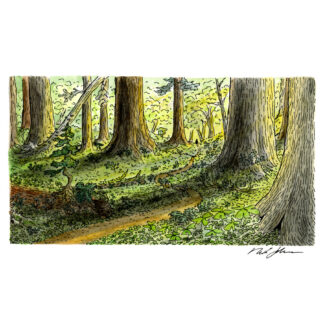 “Streams of Treelight” Print