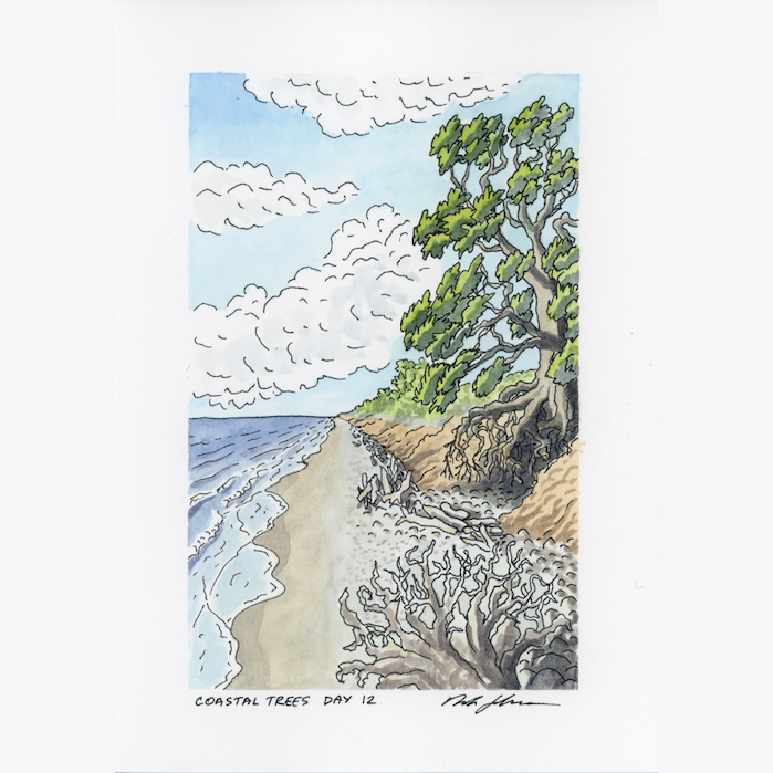"Coastal Trees Day 12" Original Artwork