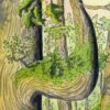 "Our Mossy Canopy” Print - Image 3