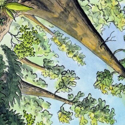 "Surrounded by Giants” Print - Image 4
