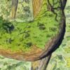 "Our Mossy Canopy” Print - Image 2