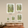 "Our Mossy Canopy” Print - Image 4