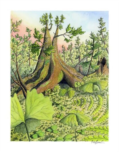 "Amongst the Groundcover” Print - Image 2