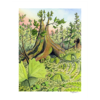 "Amongst the Groundcover” Print