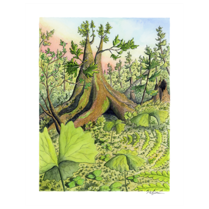 "Amongst the Groundcover” Print