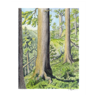 "Nestled on Tumbling Slopes” Print