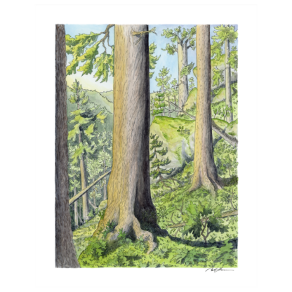 "Nestled on Tumbling Slopes” Print
