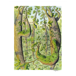 "Our Mossy Canopy” Print