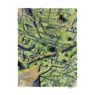 "Peering at Trails Below” Print