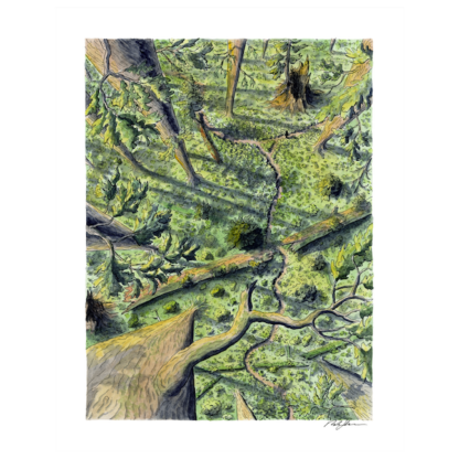 "Peering at Trails Below” Print