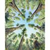 "Surrounded by Giants" Original Artwork (Framed) - Image 2