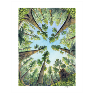 "Surrounded by Giants” Print