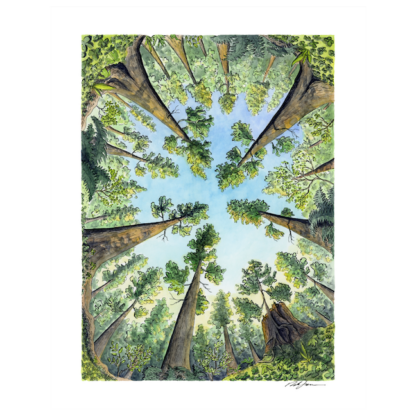 "Surrounded by Giants” Print