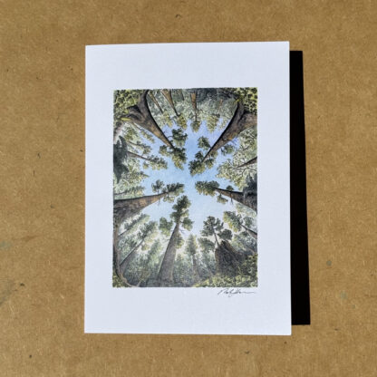 Set of Five Art Cards: "Forest Perspectives" - Image 2