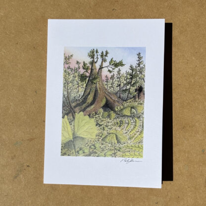 Set of Five Art Cards: "Forest Perspectives" - Image 5