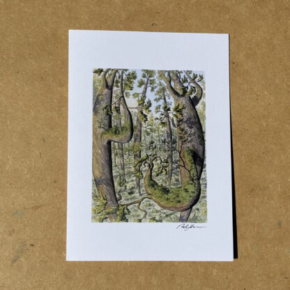 Set of Five Art Cards: "Forest Perspectives" - Image 4