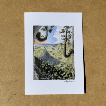 Set of Five Art Cards: "Forest Perspectives" - Image 6