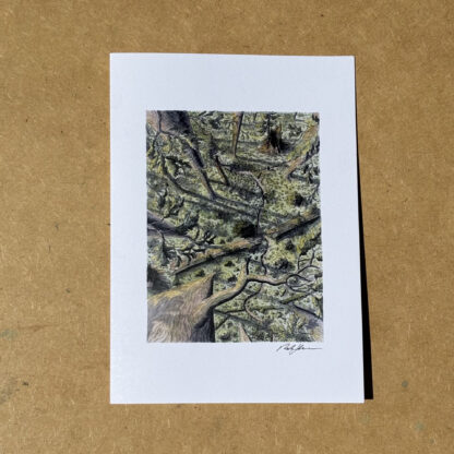 Set of Five Art Cards: "Forest Perspectives" - Image 3