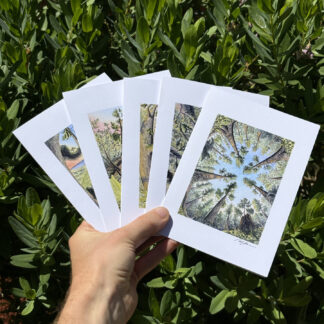 Set of Five Art Cards: "Forest Perspectives"