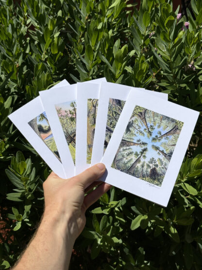 Set of Five Art Cards: "Forest Perspectives"