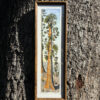 "Our Sequoia Sunset" Original Artwork (Framed)