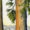 "Our Sequoia Sunset" Original Artwork (Framed) - Image 5