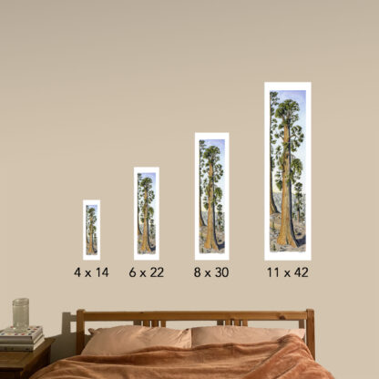"Our Sequoia Sunset” Print - Image 5