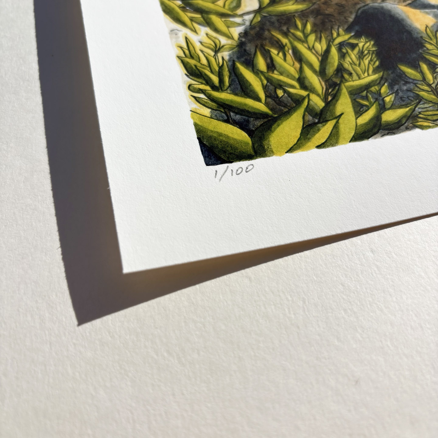 Limited Edition "Mt. Tam Sunset” Print - Image 7