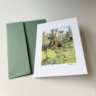 Amongst the Groundcover