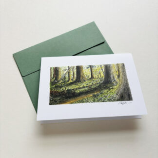 Streams of Treelight