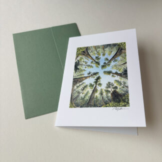 Surrounded by Giants