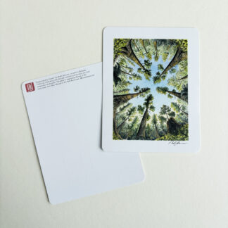 Surrounded by Giants