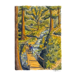 "Watching Water Fall” Print