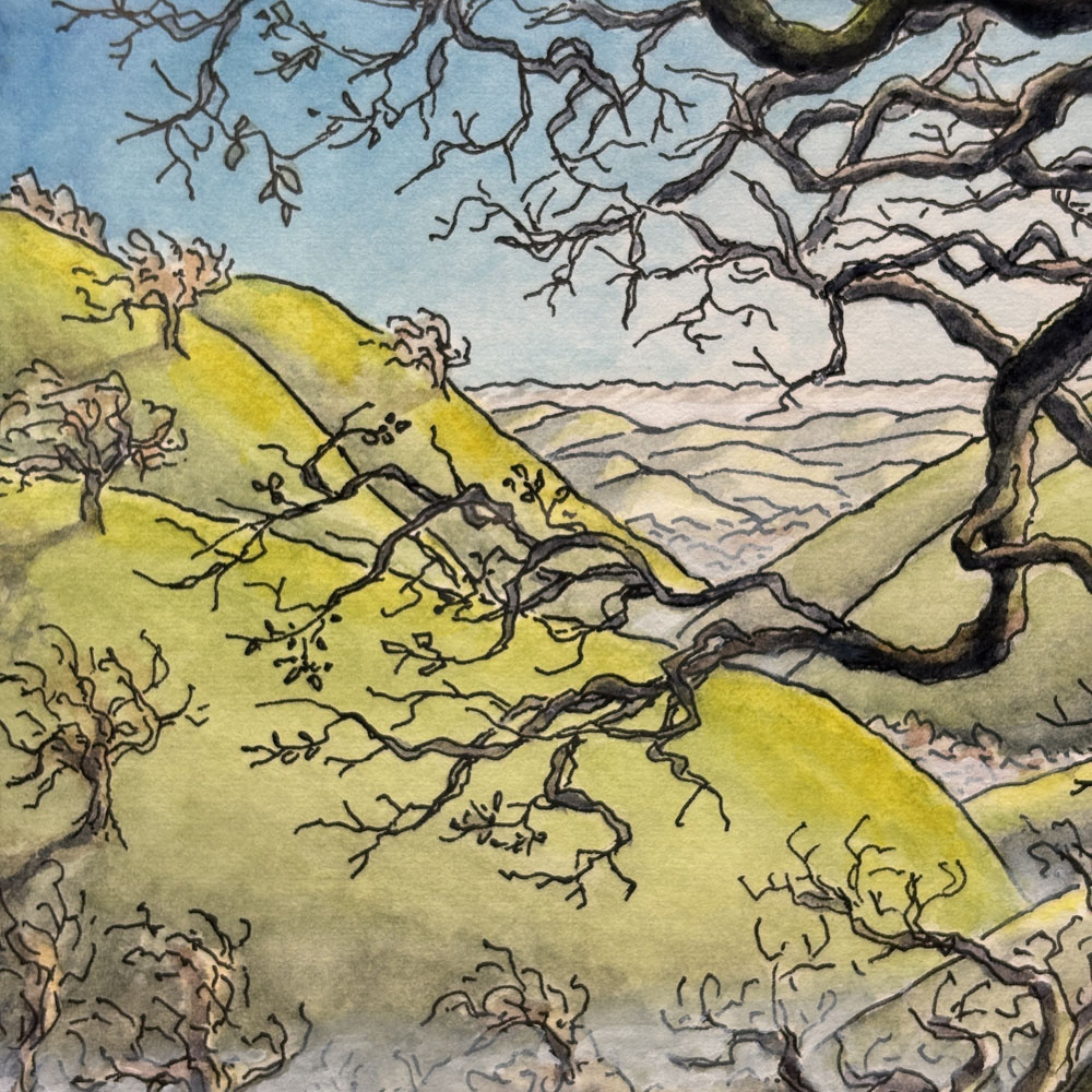 "Quiet Green Ridges" Original Artwork (Framed) - Image 3