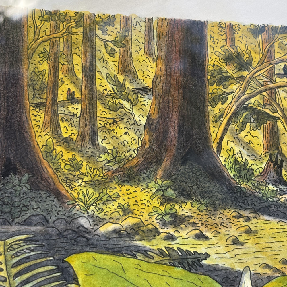 "Early Trillium in Muir Woods" Original Artwork (Framed) - Image 3