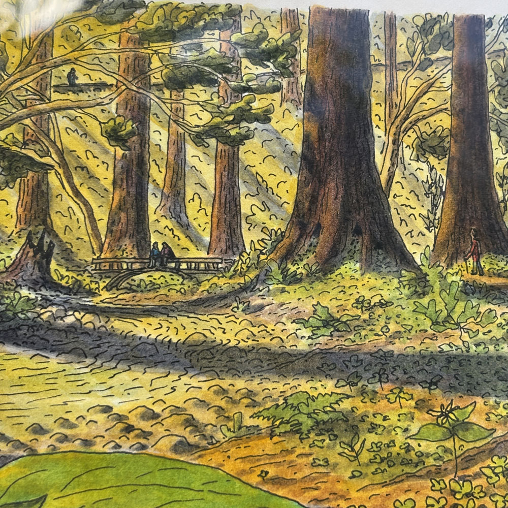 "Early Trillium in Muir Woods" Original Artwork (Framed) - Image 4