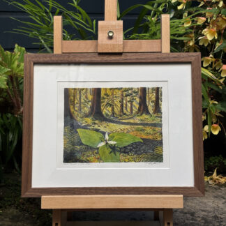 "Early Trillium in Muir Woods" Original Artwork (Framed)